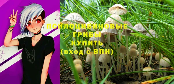 синтетический гашиш Беломорск