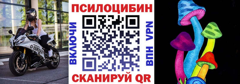 Псилоцибиновые грибы Magic Shrooms  сколько стоит  Гороховец 
